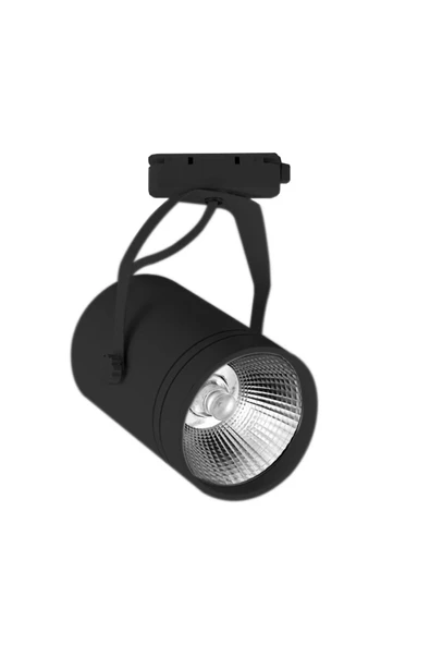 ACK Ad30-01901 3000k Günışığı 30w Siyah Kasa Cob Led Ray Spot Armatür