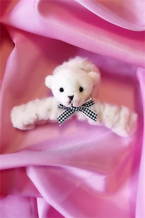 Ayıcıklı Bej Peluş Toka - 1