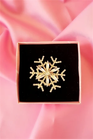 Kadın Kartanesi Zirkon Taşlı Broş - Resim 2