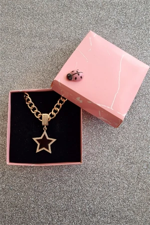 Kadın Siyah Yıldız Zirkon Taşlı Çağla Şikel Çelik Kolye - 3