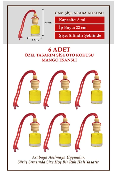 ByMeyla MANGO MEYVE ESANSLI 6 LI CAM ŞİŞEDE OTO KOKUSU VE OTO AKSESUARI