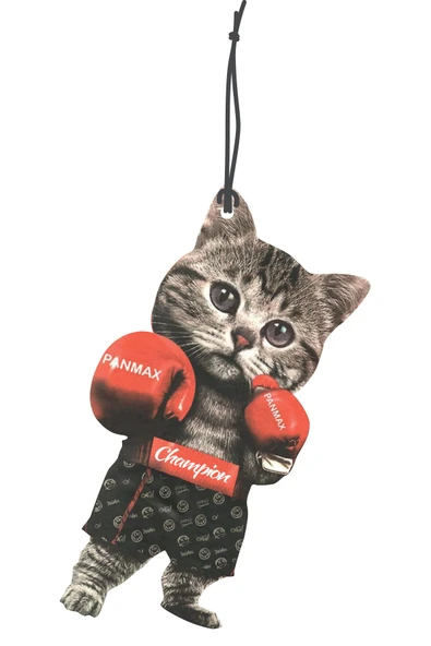 ByMeyla Boksör Kedi Tasarımlı Dekoratif Oto Kokusu ve Oto Aksesuarı ürün görseli