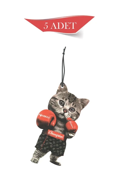 ByMeyla Boksör Kedi 5'li Dekoratif Oto Kokusu ve Oto Aksesuarı