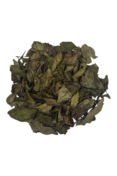 %100 Doğal El Yapımı Ödem Söktürücü (türkiyede Ilk Yaprak Yeşil Çay ) 100 gr - 2