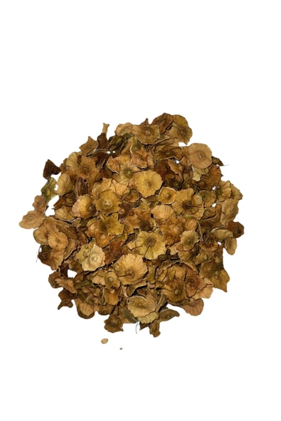 Birinci Sınıf Karaçalı Pulu Çayı – ve Metabolizma Dostu%100 Doğal, El Yapımı, 100 Gr. - 2