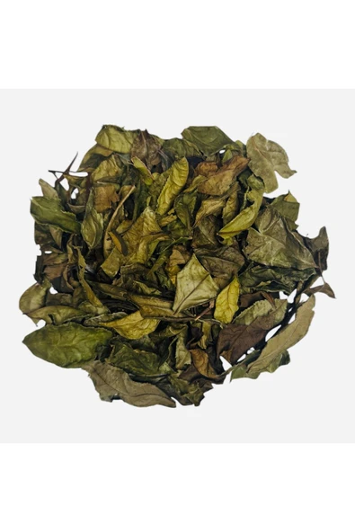 Birinci Sınıf Organik (Tr’de ilk ) Yaprak Yeşil Çay, Rize ilk hasat %100 Doğal, 250 Gr. - 2