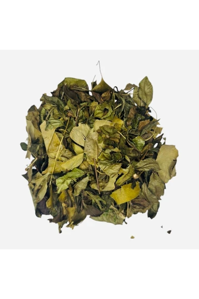 Rize Yaprak Yeşil Çay Ginko Biloba Harmanı Zengin Antioksidan Kaynağı %100 Doğal El Yapımı, 50 Gr - 2