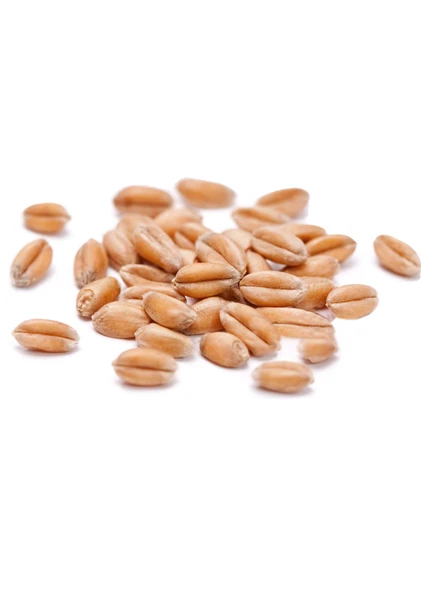 İpek Değirmen 3 KG Premium Güvercin Yemi Sorgum Aspir Kara Buğday - 5