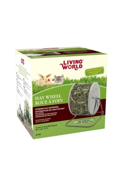 Living World Livingword Saman Çarkı