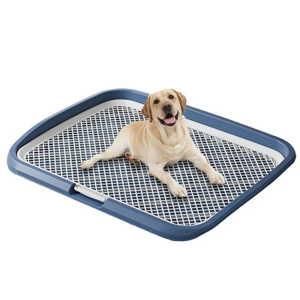 Büyük Boy Su Sıçratmayan Köpek Tuvalet Eğitim Tepsisi - 65cm x 50cm - XXL - 10