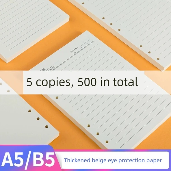 B5 Gevşek Yaprak Kağıt Değiştirme Defteri - B5 Boş 9 Delik (300 sayfa/600 sayfa) - 2