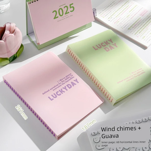 B5 Çıkarılabilir Spiral Defter - Rüzgar Çanları + Guava