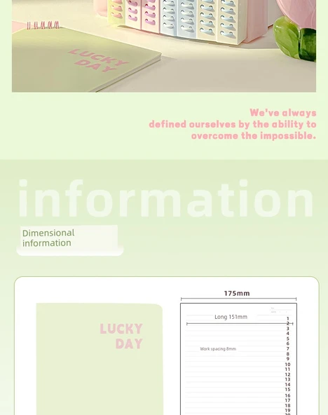 B5 Çıkarılabilir Spiral Defter - Dörtlü Paket (Aile Fotoğrafı) - 8