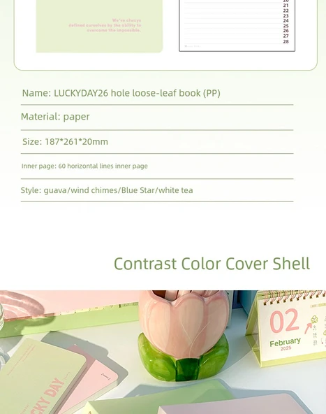 B5 Çıkarılabilir Spiral Defter - Mavi Yıldız + Guava - 9