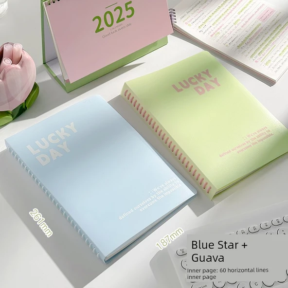 B5 Çıkarılabilir Spiral Defter - Mavi Yıldız + Guava