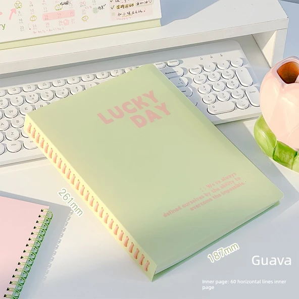 B5 Çıkarılabilir Spiral Defter - Guava