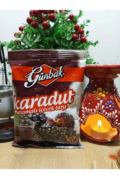 Günbak Aromalı İçecek Tozu 250gr Karadut