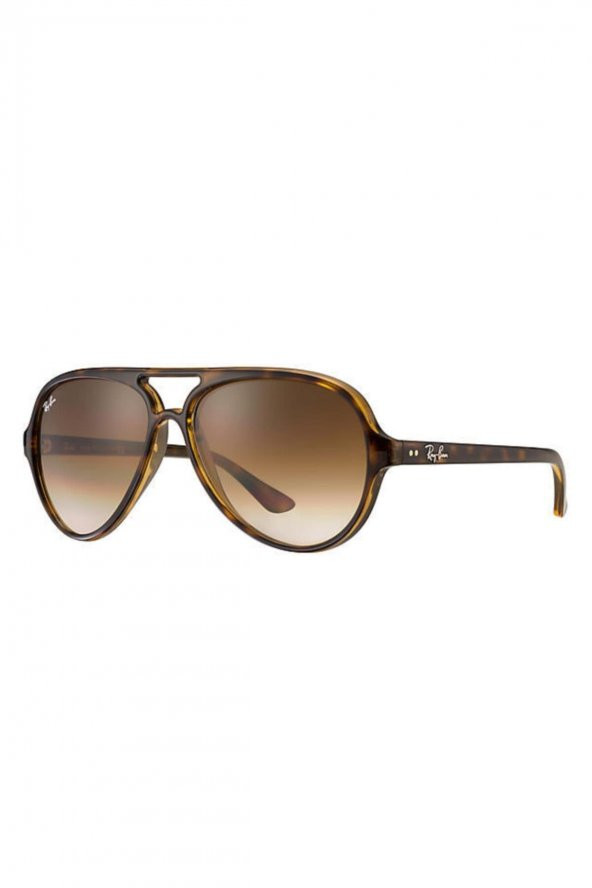 Rayban Rb4125 Cats 5000 710/51 2n Güneş Gözlüğü