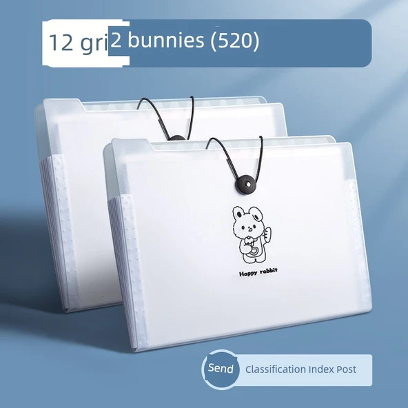 Disco Bear PP Bilgi Kitapçığı Test Kağıdı Organizatörü - [2 Paket] 2 Paket - 12 Paket - Tavşan - Yaklaşık 520 Parça