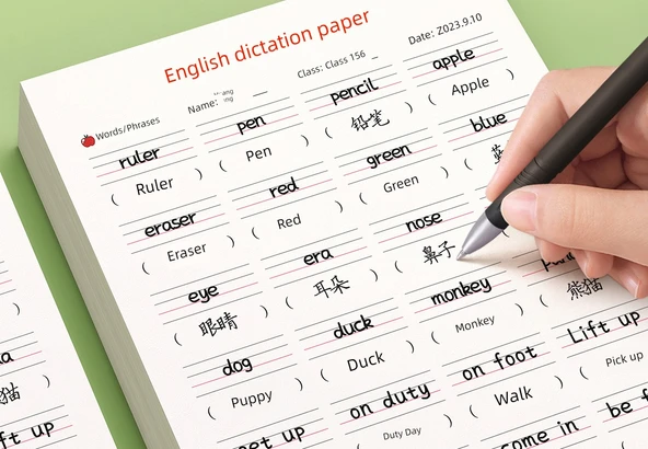 İngilizce Dikte Kağıdı 2/40 + A4 İki Katmanlı İngilizce Saklama Çantası - Resim 8