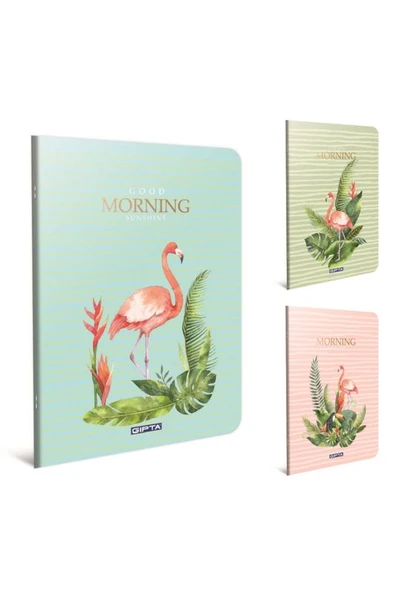 GIPTA MORNİNG PLASTİK KAPAK DEFTER A4 KARELİ 60 YAPRAK (4178)