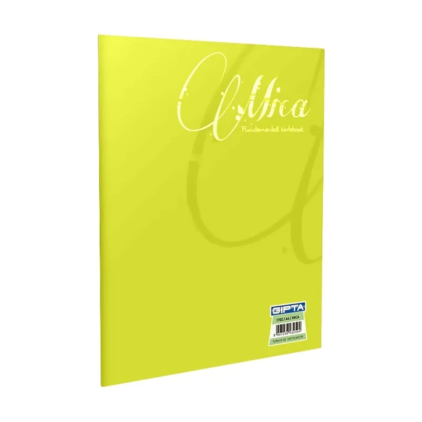 GIPTA MİCA PLASTİK KAPAK DEFTER A5 KARELİ 80 YAPRAK (2055) - 5