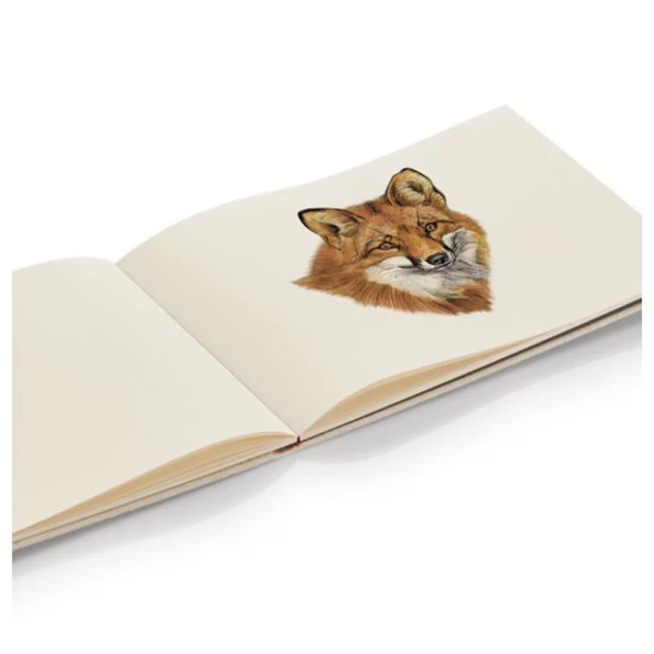 Transotype Sensebook Sketch Pad 180gr 40 Yaprak A4 - 3