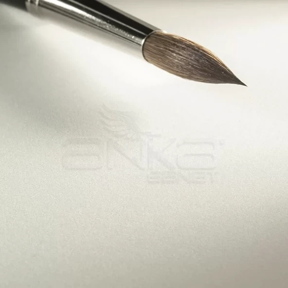 Hahnemühle Leonardo Sulu Boya Blok Defter Rough 600g 10 Yaprak - 2