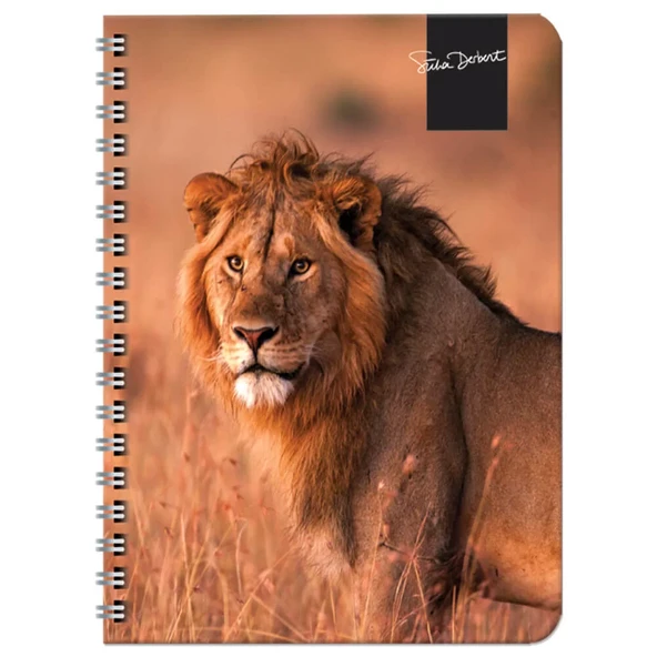 Keskin Color Süha Derbent Çizgili Defter 17x24 cm 120 Yaprak 326811-99