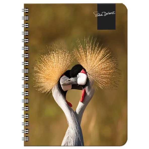 Keskin Color Süha Derbent Çizgili Defter 17x24 cm 120 Yaprak 326811-99 - 2