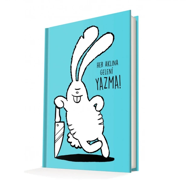 Deffter Her Aklına Geleni Yazma/Sert Kapaklı Çizgili 14x20 Cm ürün görseli