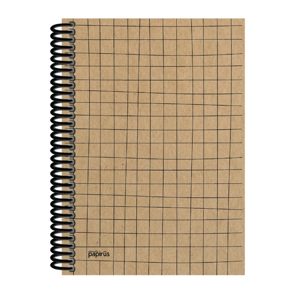 Papirüs Kraft Sert Kapak Defter 100yp 17x24cm Kareli - 5
