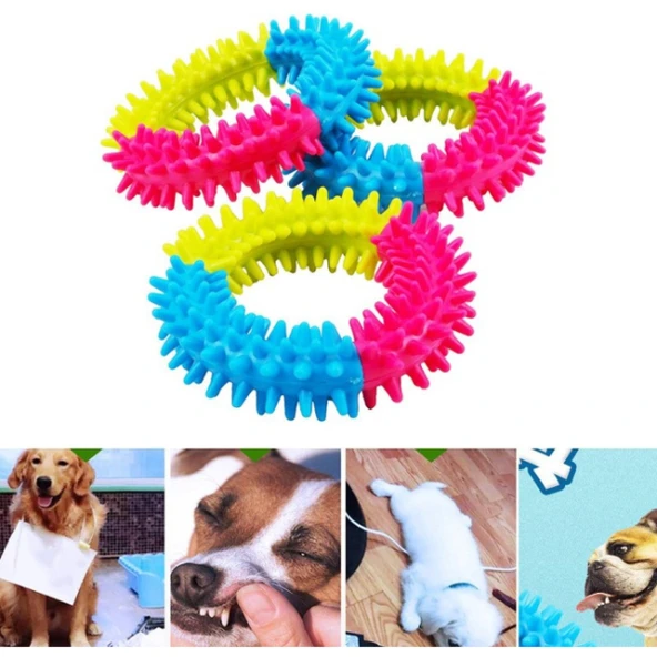 Köpek Isırma Diş Kaşıma Çemberi - 4