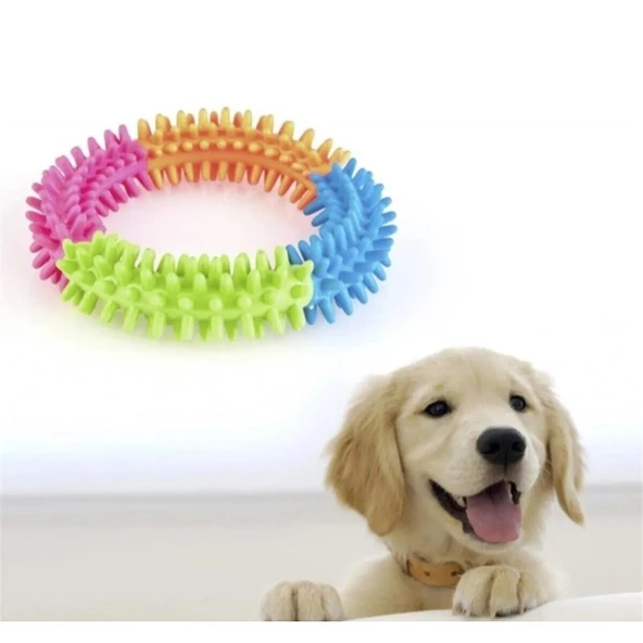 Köpek Isırma Diş Kaşıma Çemberi - 3
