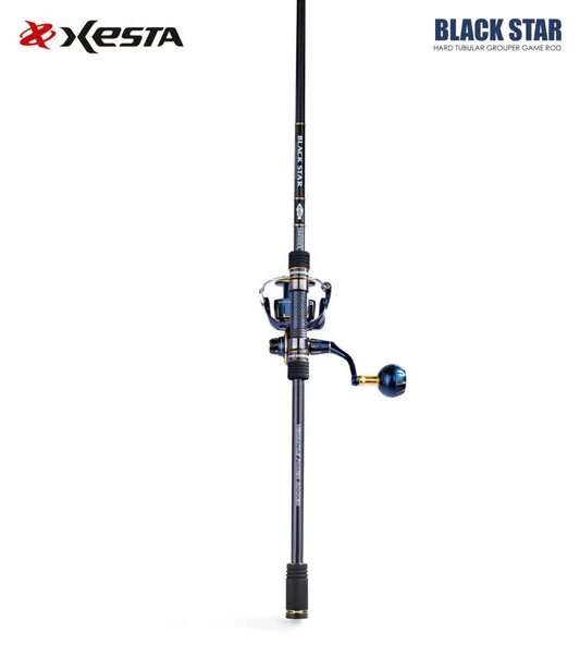 XESTA BLACKSTAR HARD S84MHX KAMIŞ 2.54M 7-35G #0.6-1.5 - 2