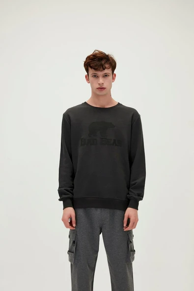 Crewneck Erkek Sweatshirt
