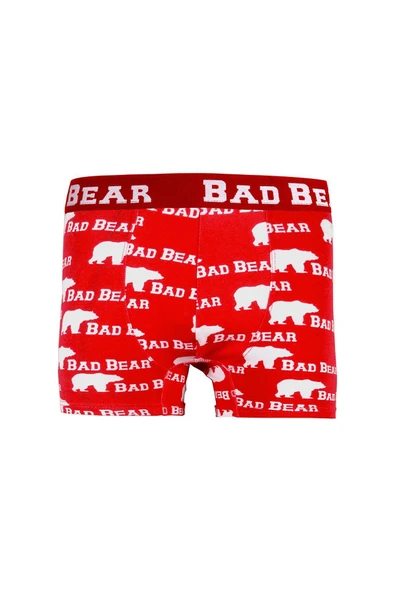 Erkek Boxer Bear