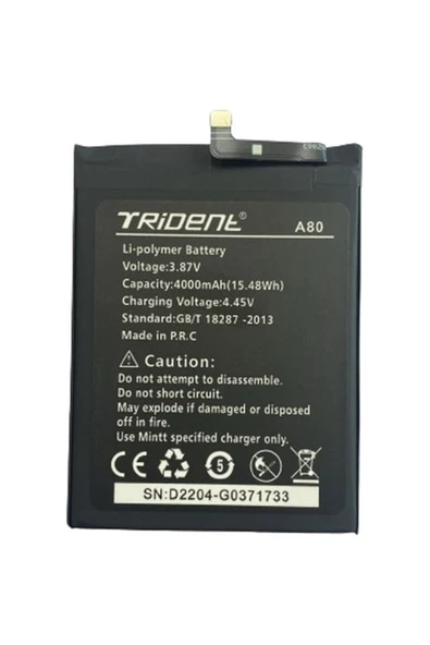 AXYA Trident A80 Pil Batarya 4000 Mah