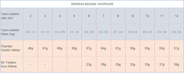 Royal Canin Kitten  Yavru Kedi Maması 10 Kg. - Resim 7