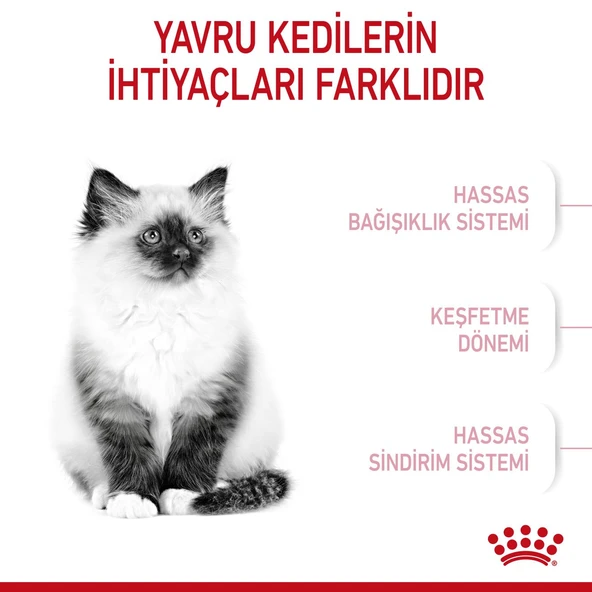 Royal Canin Kitten  Yavru Kedi Maması 10 Kg. - Resim 6