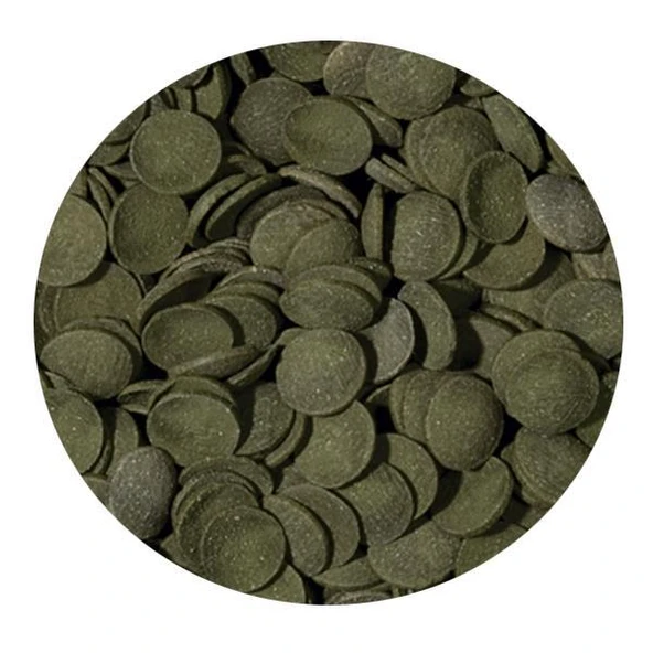 Tropical Green Algae Wafers 1000ml 450gr - 2