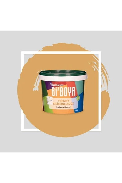 Silikonlu Dış Cephe Boyası 7.5 Lt - 5