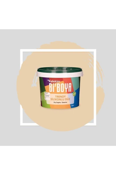 Silikonlu Dış Cephe Boyası 7.5 Lt - 9