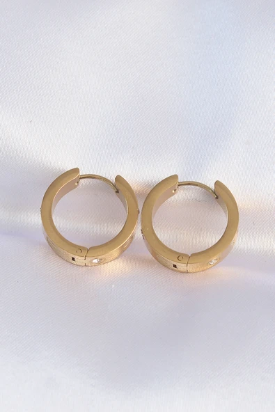 316L Çelik Özel Seri   Gold Renk Zirkon Taşlı Cartier Model Halka Küpe - 2