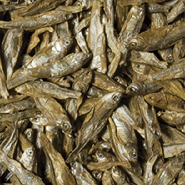 Tropical Dried Fish 250ml 35gr - 2