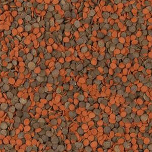 Tropical Cichlid Chips 1000ml 520gr - 2