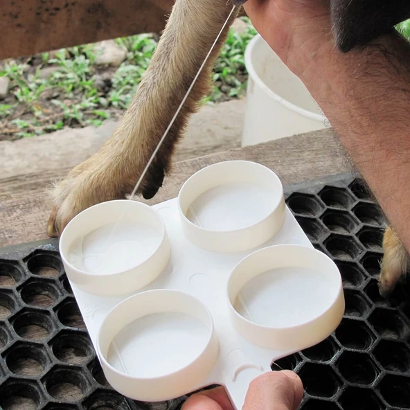 CMT Test Kabı - Mastitis Test Teşhis Diski Beyaz Renk - Resim 2