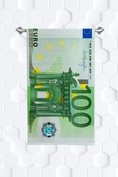 move home Dolar Euro Desenli Dekoratif El Havlusu 50x90cm 2adet - 3