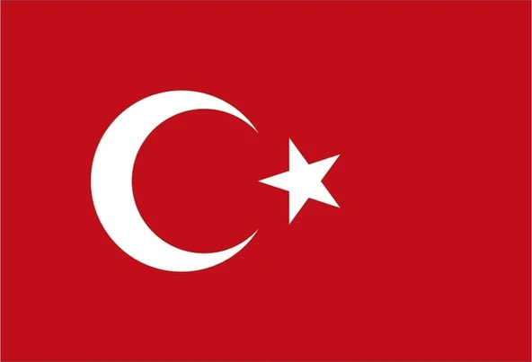 Türk Bayrağı 20X30