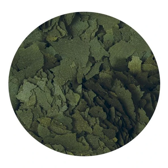 Tropical Super Spirulina Forte 1000ml 200gr - 2